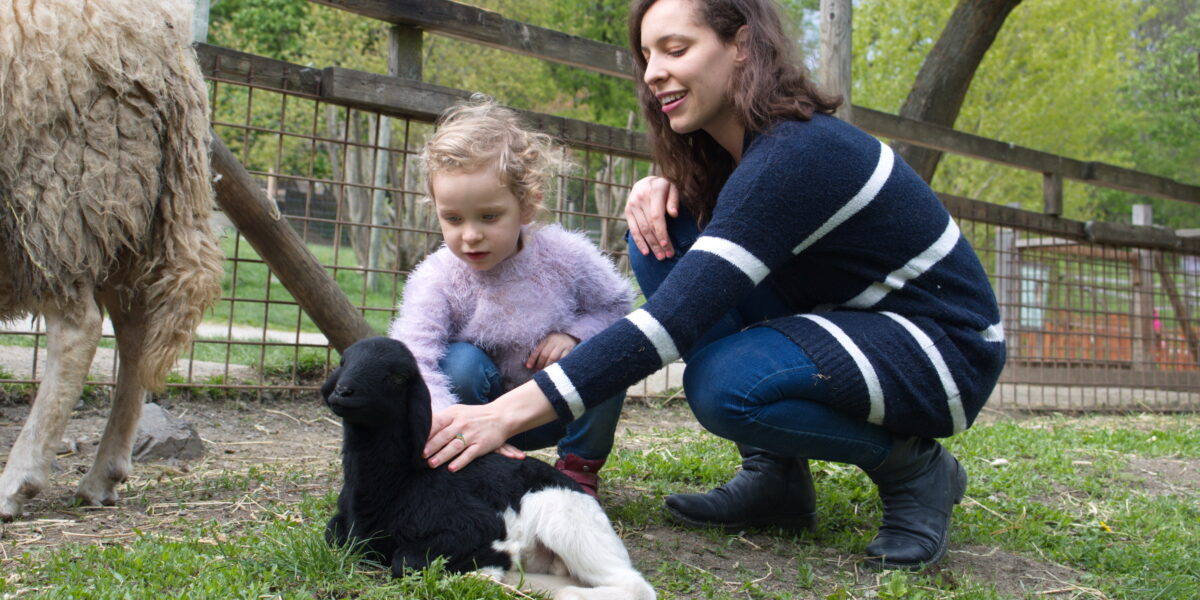 Eine Frau und ein Kind hocken neben einem schwarz-weißen Lamm und streicheln es in der Nähe eines Zauns auf einem Bauernhof im Freien.