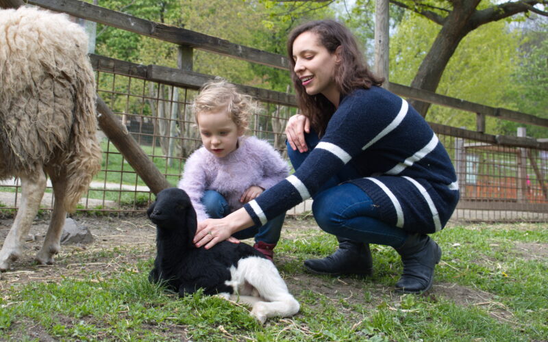 Eine Frau und ein Kind hocken neben einem schwarz-weißen Lamm und streicheln es in der Nähe eines Zauns auf einem Bauernhof im Freien.