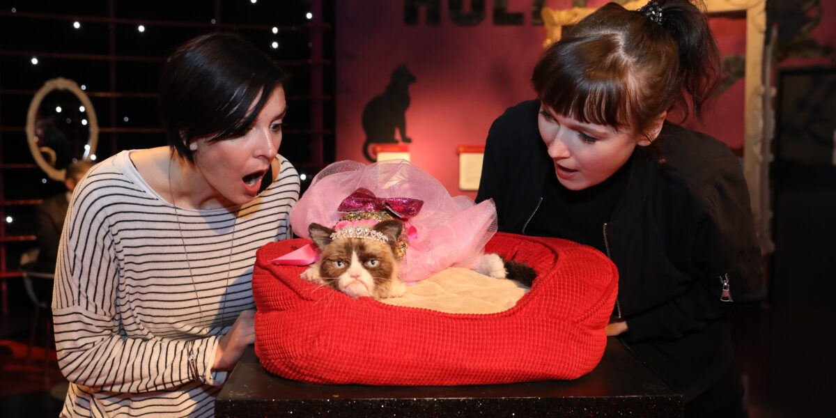 Zwei Frauen blicken überrascht und aufgeregt auf eine mürrisch aussehende Katze, die ein rosa Diadem und einen Umhang trägt und in einem roten Bett vor einem geschmückten Hintergrund ruht.