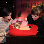 Zwei Frauen blicken überrascht und aufgeregt auf eine mürrisch aussehende Katze, die ein rosa Diadem und einen Umhang trägt und in einem roten Bett vor einem geschmückten Hintergrund ruht.