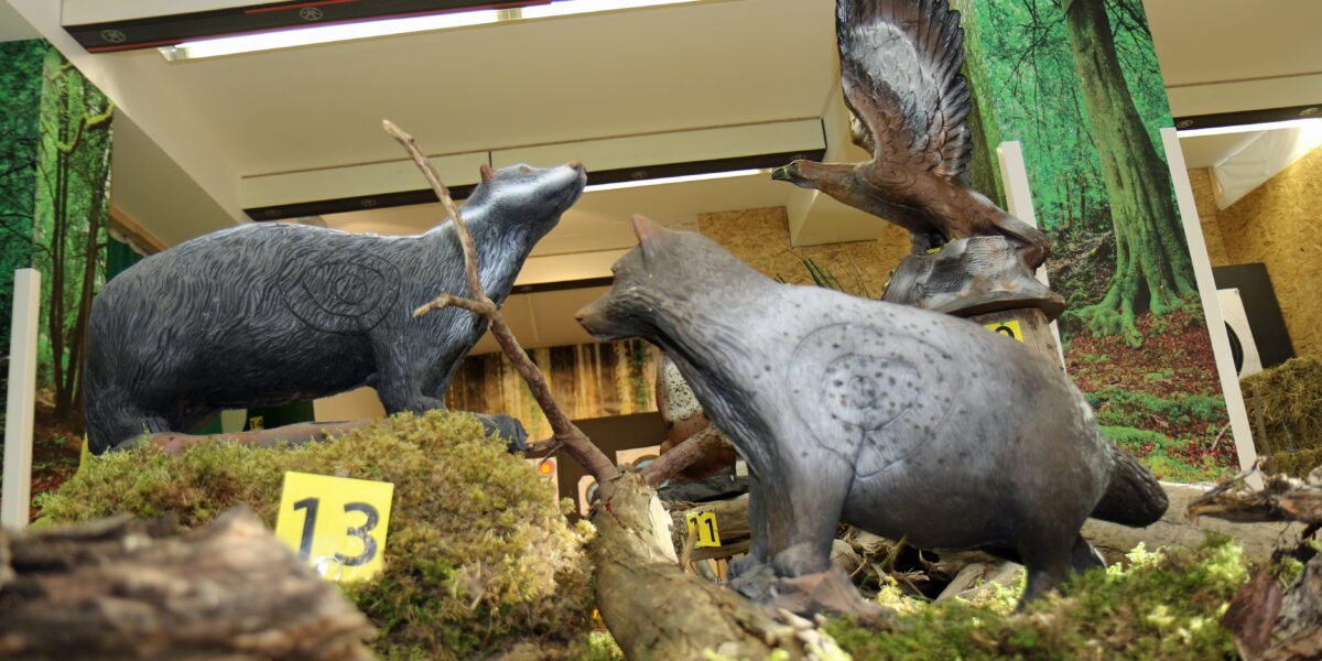 Tierpräparate oder Tiermodelle, darunter ein Wolf, eine Wildkatze und ein Adler, werden in einer waldähnlichen Ausstellung mit nummerierten Schildern und künstlichem Moos und Holz ausgestellt.