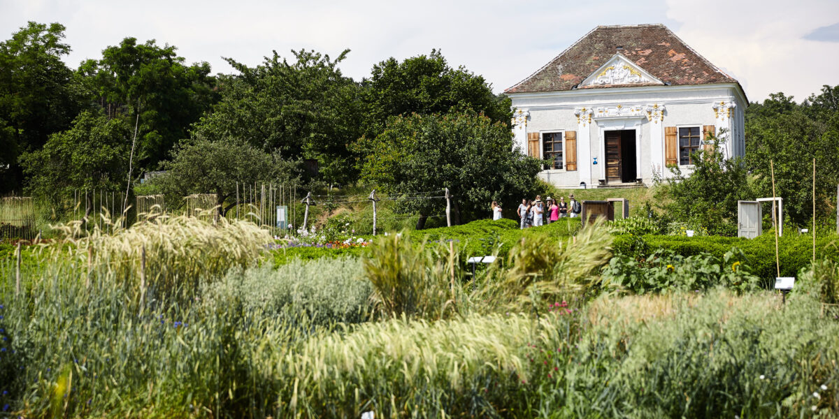 Ein weißes historisches Haus mit Ziegeldach steht hinter einem üppigen, beschrifteten Garten mit hohen Gräsern und verschiedenen Pflanzen; mehrere Personen befinden sich auf der Veranda des Hauses.
