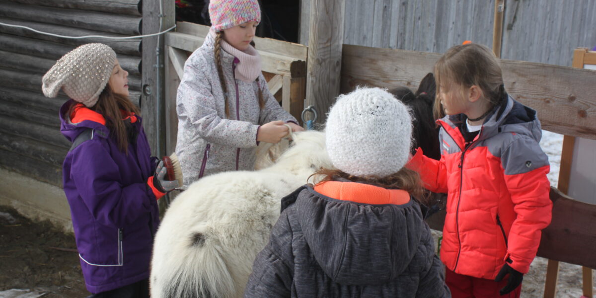 Vier winterlich gekleidete Kinder stehen um ein kleines weißes Pony herum und streicheln es in der Nähe eines Holzgebäudes.