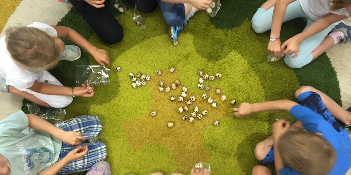 Die Kinder sitzen im Kreis auf einem grünen Teppich und sortieren und verpacken kleine runde Gegenstände, vielleicht Samen oder Nüsse, in durchsichtige Plastiktüten.
