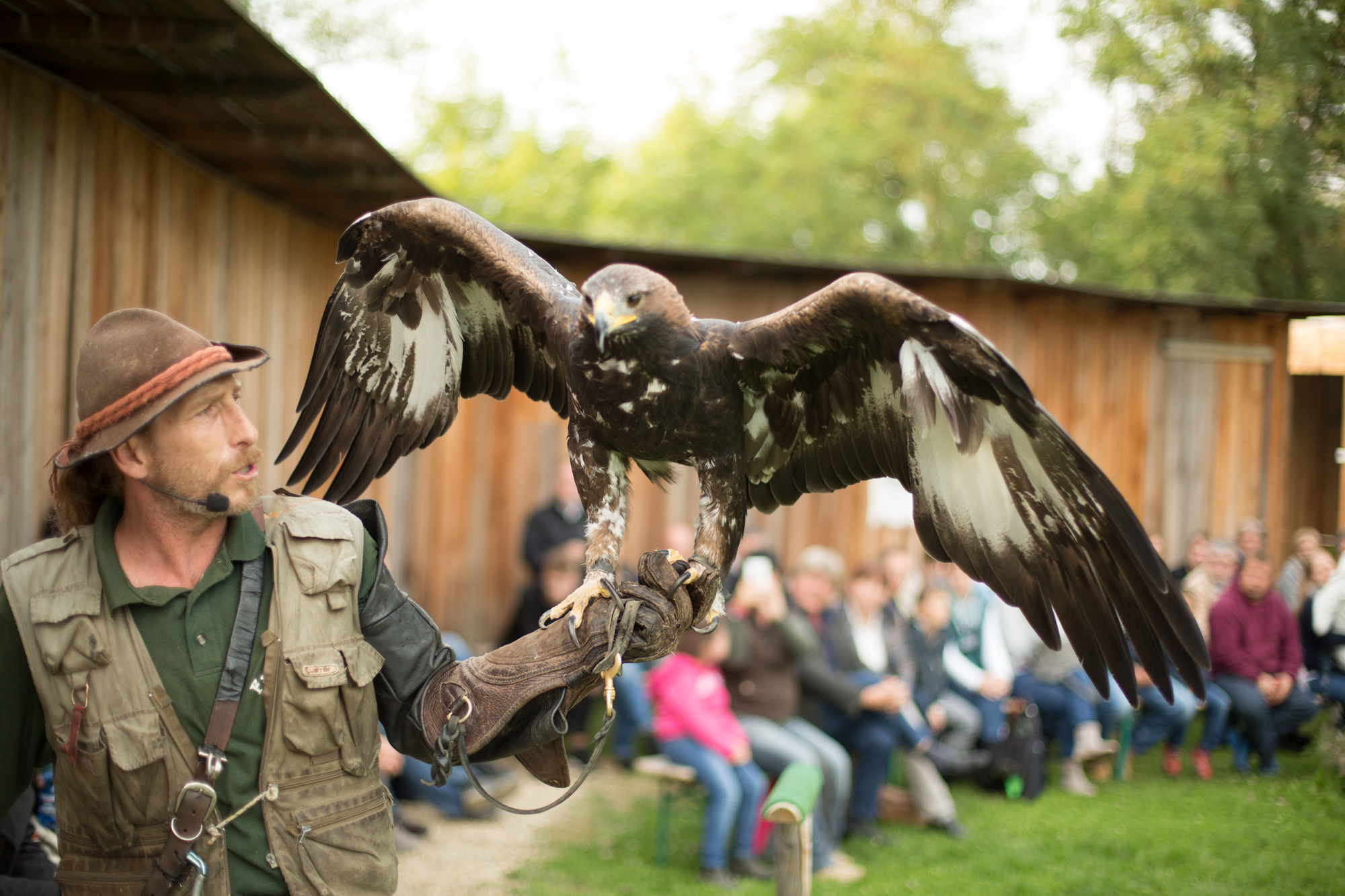 May Heldenberg Rip Raptor Heldenberg - Aigner´s Falkenhof und Steinzeitdorf - Sunny.at – die ...