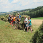 Eine Gruppe von Menschen steht im Freien auf einem grasbewachsenen Hügel, hält Harken und Heugabeln in der Hand und sammelt Heu zu Stapeln auf, mit Feldern und Bäumen im Hintergrund.