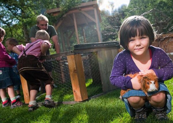 Ein junges Mädchen hält ein Meerschweinchen im Gras, während andere Kinder und ein Erwachsener in ein Freiluft-Tiergehege im Hintergrund schauen.