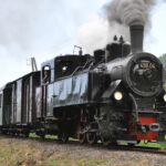 Eine schwarze Dampflok mit der Nummer 498.04 zieht Personenwaggons über ein Gleisnetz und stößt in einer ländlichen Gegend Rauch aus ihrem Schornstein.