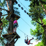Drei Personen mit Helmen navigieren an einem sonnigen Tag durch einen Baumkronen-Seilgarten mit Plattformen, Seilen und aufgehängten Reifen zwischen hohen Bäumen.