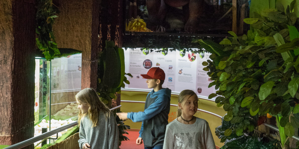 Drei Kinder betrachten Ausstellungsstücke im Schokoladenmuseum Wien mit viel Grün und einem großen Gorillabild im Hintergrund.