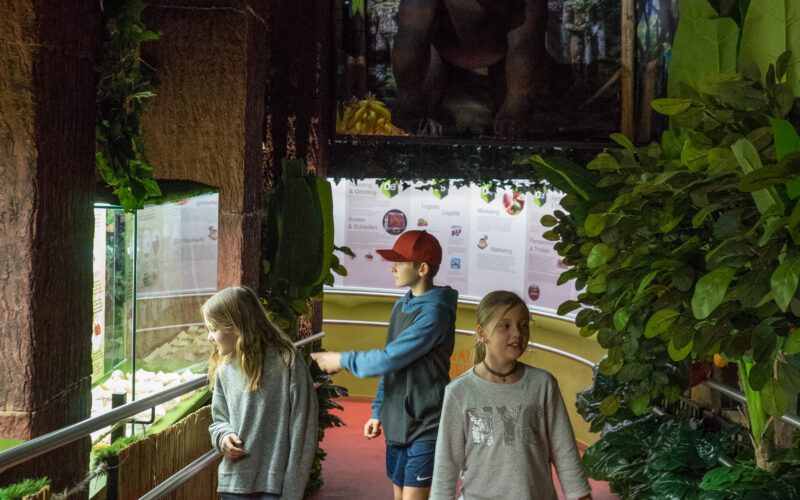 Drei Kinder betrachten Ausstellungsstücke im Schokoladenmuseum Wien mit viel Grün und einem großen Gorillabild im Hintergrund.