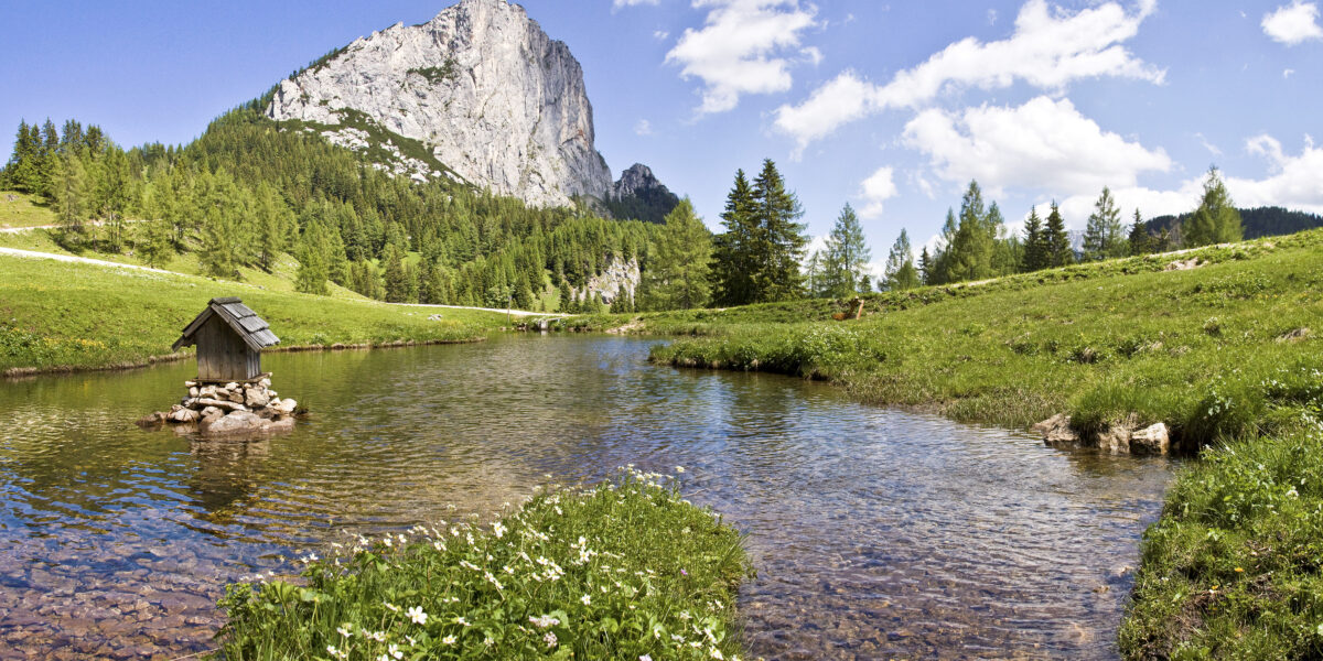 Ein klarer Bach fließt durch eine grüne Wiese mit Wildblumen, Bäumen und einer kleinen Holzhütte. Im Hintergrund erhebt sich ein felsiger Berg unter einem blauen Himmel mit vereinzelten Wolken.