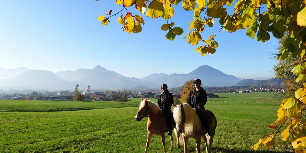 Zwei Personen reiten auf Pferden über eine Wiese unter einem Baum mit gelben Blättern, mit Bergen und einem klaren blauen Himmel im Hintergrund.