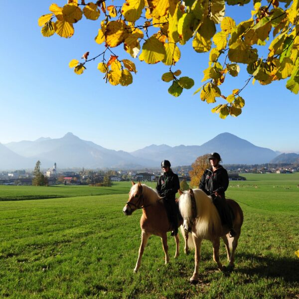 Zwei Personen reiten auf Pferden über eine Wiese unter einem Baum mit gelben Blättern, mit Bergen und einem klaren blauen Himmel im Hintergrund.