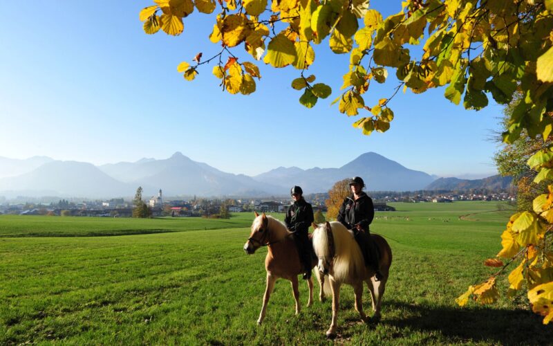 Zwei Personen reiten auf Pferden über eine Wiese unter einem Baum mit gelben Blättern, mit Bergen und einem klaren blauen Himmel im Hintergrund.