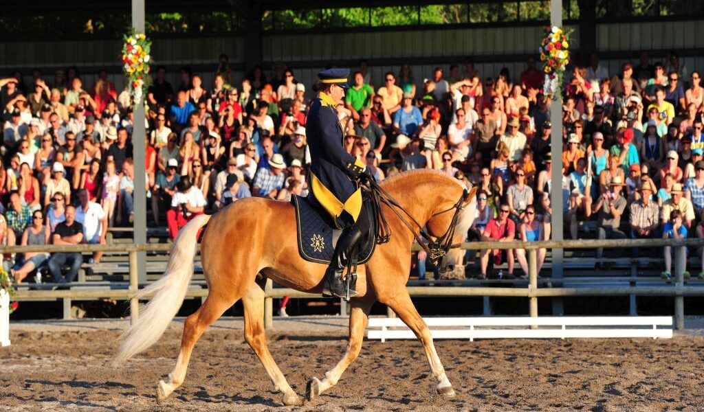 Eine Person in Uniform reitet auf einem hellbraunen Pferd in einer Arena, während im Hintergrund ein großes sitzendes Publikum von überdachten Tribünen aus zusieht.