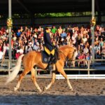 Eine Person in Uniform reitet auf einem hellbraunen Pferd in einer Arena, während im Hintergrund ein großes sitzendes Publikum von überdachten Tribünen aus zusieht.