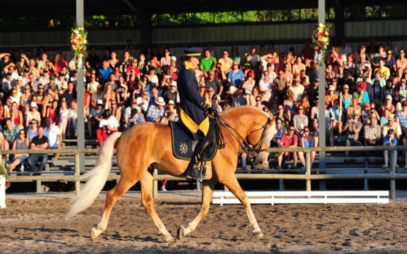 Eine Person in Uniform reitet auf einem hellbraunen Pferd in einer Arena, während im Hintergrund ein großes sitzendes Publikum von überdachten Tribünen aus zusieht.