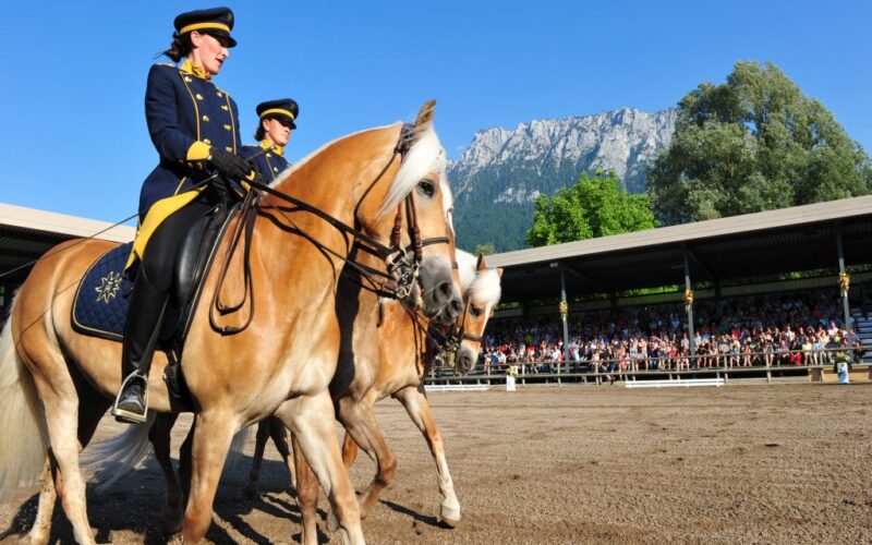 Zwei uniformierte Reiter auf braunen Pferden treten in einer Freiluftarena vor Publikum auf, im Hintergrund sind ein Berg und Bäume zu sehen.