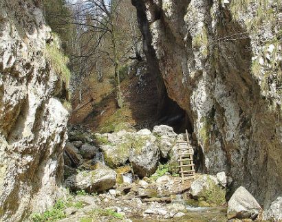 Eine kleine Holzleiter lehnt an Felsen in einer engen, felsigen Bergschlucht, durch die ein Bach fließt. Im Hintergrund sind spärliche Bäume zu sehen.