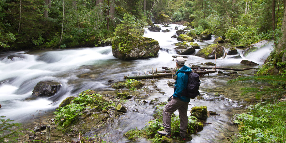 Eine Person, die Outdoor-Kleidung und einen Rucksack trägt, steht auf Felsen neben einem fließenden Fluss in einem dichten, grünen Wald.