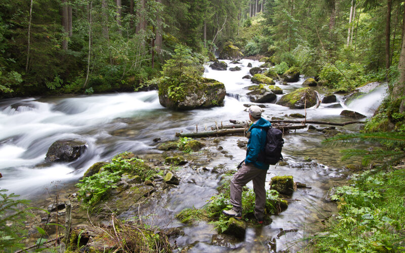 Eine Person, die Outdoor-Kleidung und einen Rucksack trägt, steht auf Felsen neben einem fließenden Fluss in einem dichten, grünen Wald.