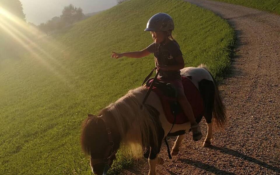 Ein Kind, das einen Helm trägt, reitet auf einem kleinen Pony auf einem Schotterweg durch grasbewachsene Hügel bei Sonnenuntergang und zeigt dabei nach vorne.