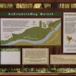 Informationstafel für den Naturlehrpfad AuErlebnisWeg Mureck mit Karte, Symbolen, aktuellen Informationen und Informationen zur heimischen Tierwelt in deutscher Sprache vor einem Waldhintergrund.