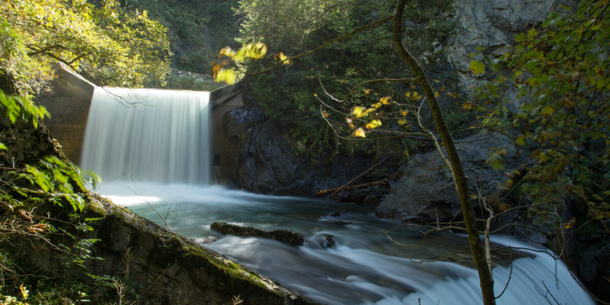 Ein kleiner Damm erzeugt in einem Waldgebiet einen Wasserfall, wobei Bäume und Felsen das fließende Wasser bei Tageslicht umgeben.