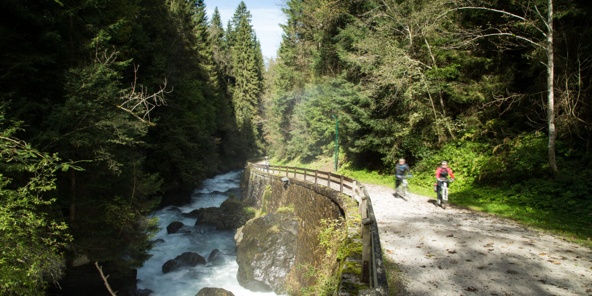 Zwei Wanderer gehen auf einem Schotterweg neben einem Fluss entlang, umgeben von dichtem grünem Wald und Sonnenlicht, das durch die Bäume fällt.