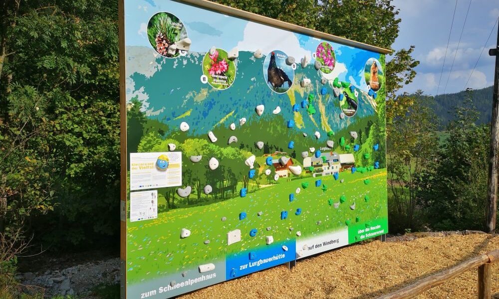 Ein großes Schild mit Illustrationen und Fotos zeigt Informationen über lokale Pflanzen und Tiere vor einer Kulisse aus Bäumen und Bergen.
