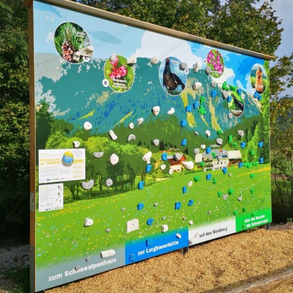 Ein großes Schild mit Illustrationen und Fotos zeigt Informationen über lokale Pflanzen und Tiere vor einer Kulisse aus Bäumen und Bergen.