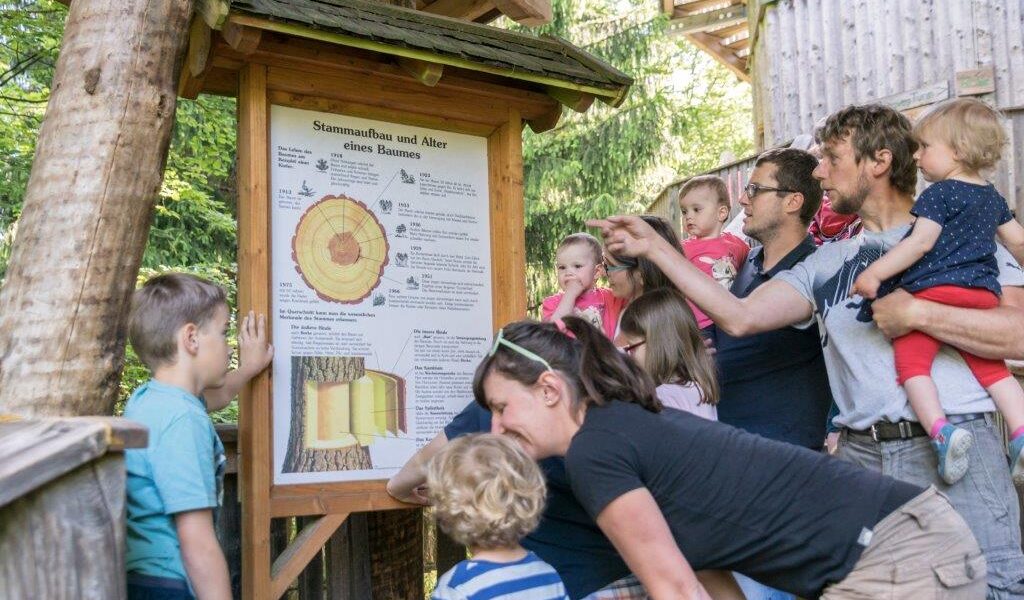 Eine Gruppe von Erwachsenen und Kindern liest und bespricht ein Lehrschild über Baumringe und Alter in einem Waldstück im Freien.