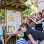 Eine Gruppe von Erwachsenen und Kindern liest und bespricht ein Lehrschild über Baumringe und Alter in einem Waldstück im Freien.