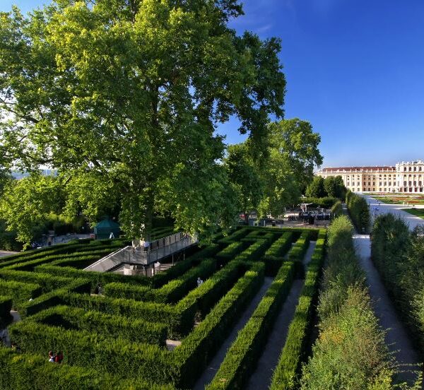 Luftaufnahme eines großen Heckenlabyrinths mit einem zentralen Baum und einer Aussichtsplattform, das sich in formalen Gärten in der Nähe eines großen Palastes im Hintergrund befindet.