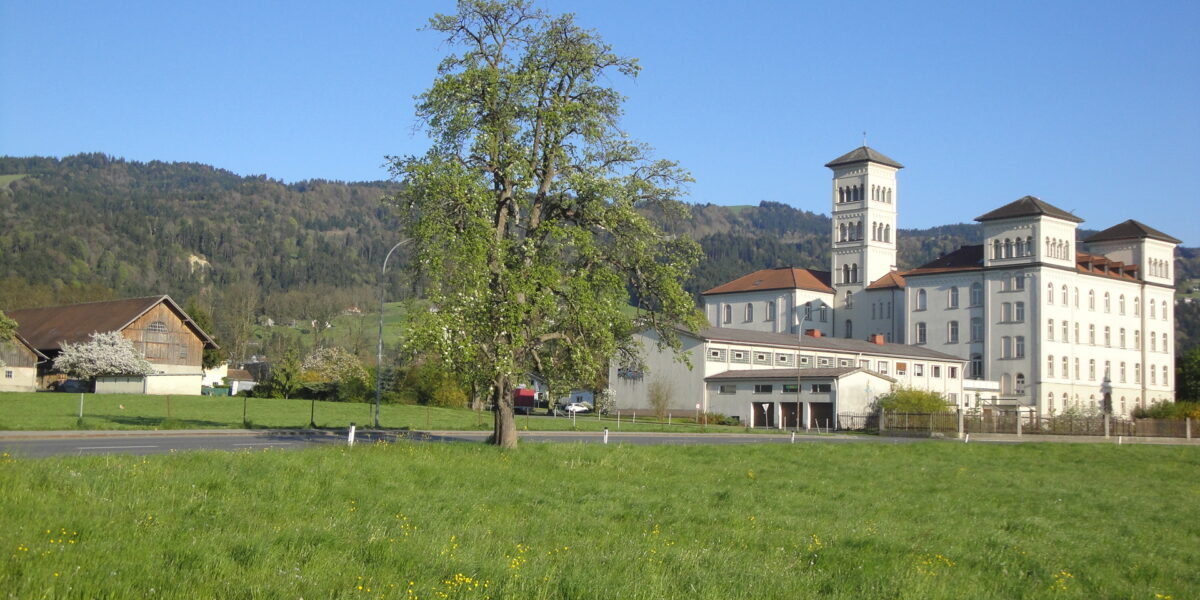 Ein großes weißes Gebäude mit Türmen steht in der Nähe eines Baumes und eines grasbewachsenen Feldes, mit Hügeln und blauem Himmel im Hintergrund.