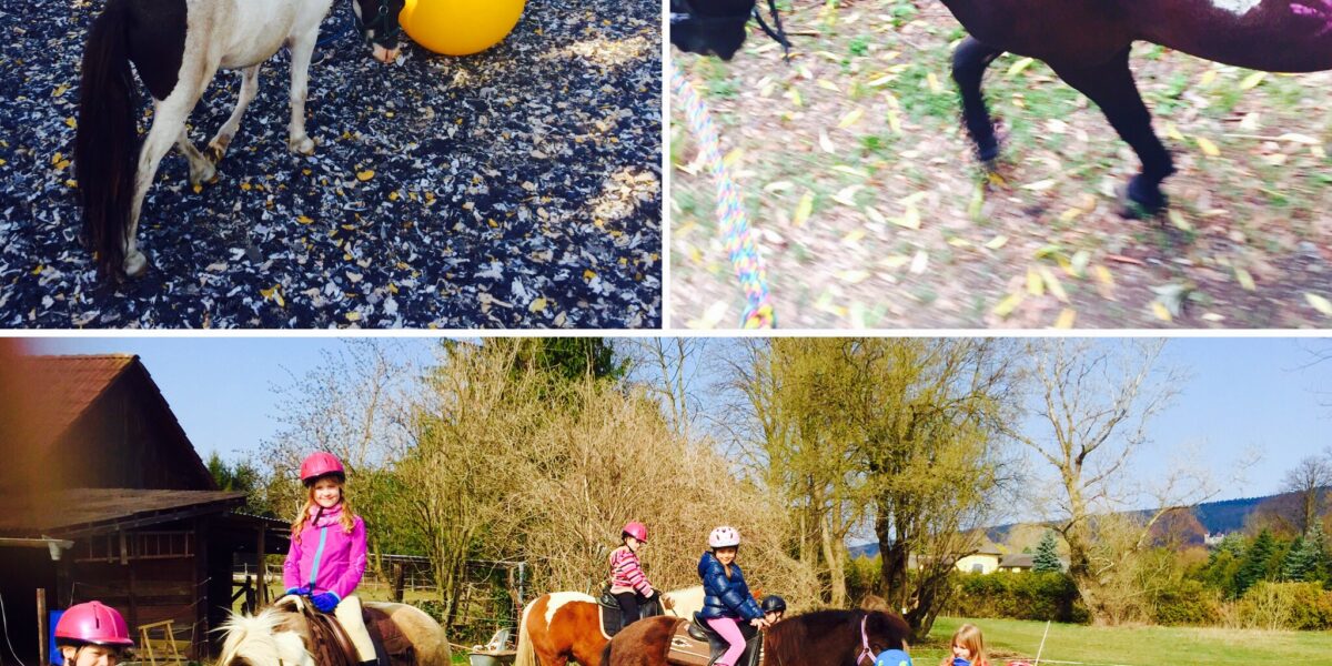 Drei Fotos: Kinder reiten auf Ponys auf einer Wiese, ein Kind spielt mit einem Pony und einem großen gelben Ball, und eine Nahaufnahme eines Ponys mit aufgemalten Verzierungen auf seinem Körper.