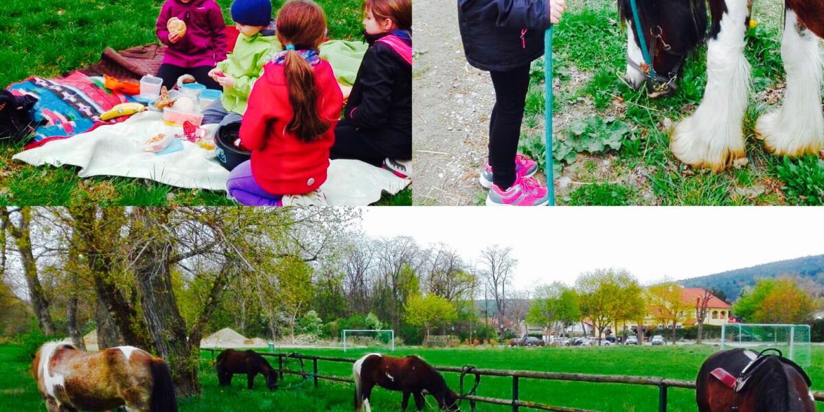 Kinder sitzen auf einer Decke und machen ein Picknick, ein Kind mit einem Helm steht bei einem grasenden Pferd, und mehrere Pferde grasen auf einer grünen, eingezäunten Wiese.