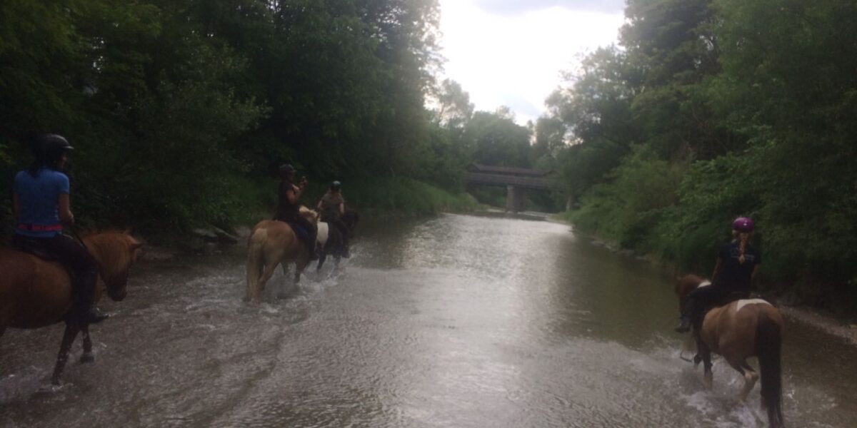 Fünf Personen reiten auf Pferden durch einen flachen, von Bäumen gesäumten Fluss, im Hintergrund ist eine Brücke unter einem bewölkten Himmel zu sehen.