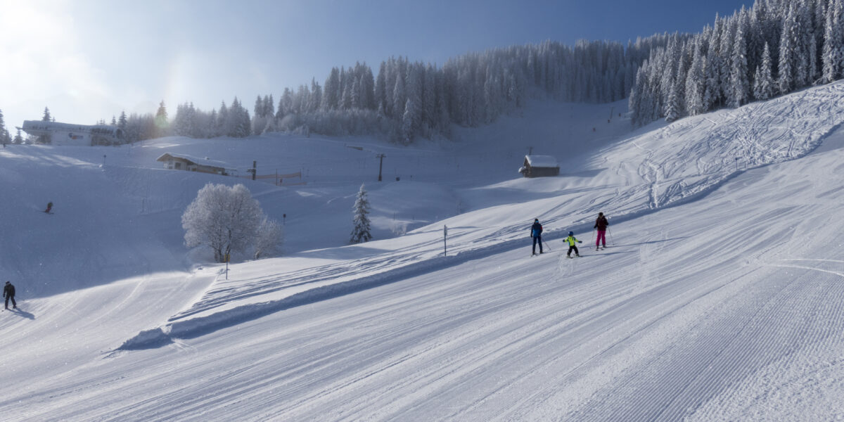 Skifahrer auf einer breiten, präparierten Schneepiste mit Kiefern und Gebäuden im Hintergrund an einem klaren Tag.
