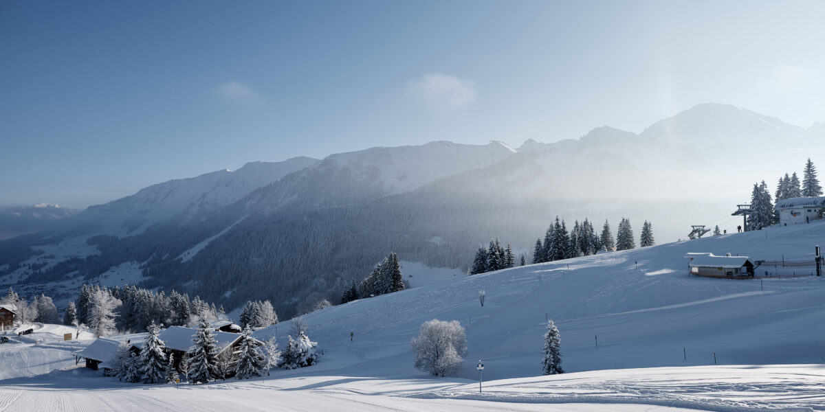 Eine verschneite Berglandschaft mit Kiefern, ein paar Häusern und blauem Himmel an einem sonnigen Wintertag.