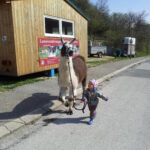 Ein kleines Kind in bunter Kleidung führt an einem sonnigen Tag ein Lama an der Leine neben einem Holzgebäude spazieren.