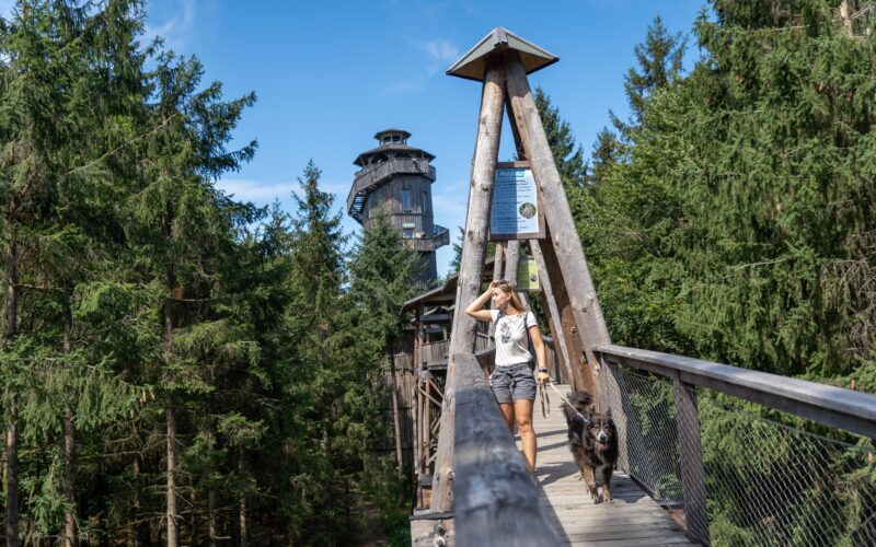 Eine Frau geht mit einem großen Hund über eine Holzbrücke, die von hohen Bäumen umgeben ist. Im Hintergrund ist unter einem klaren Himmel ein Holzturm zu sehen.