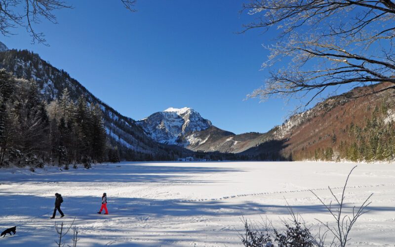 Zwei Menschen und ein Hund laufen unter einem klaren blauen Himmel über einen schneebedeckten, zugefrorenen See, der von Bergen und Bäumen umgeben ist.