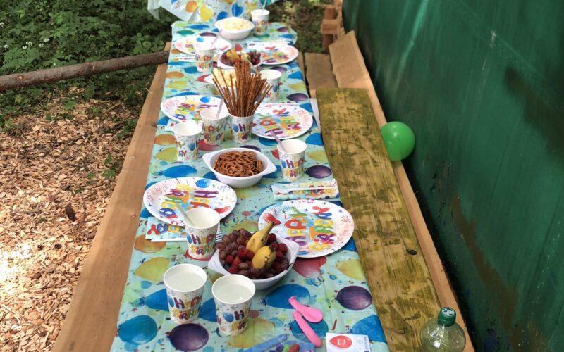 Ein langer Picknicktisch in einem Waldgebiet ist mit bunten Partytellern, Bechern, Snacks, Luftballons und Utensilien gedeckt, bereit für eine Kinderfeier im Freien.