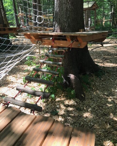 Eine hölzerne Strickleiter verbindet eine Baumplattform mit einem Holzdeck in einem von Bäumen und Holzspänen umgebenen Outdoor-Abenteuerpark.