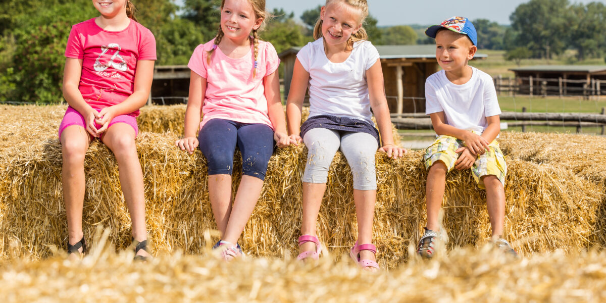 Vier Kinder sitzen an einem sonnigen Tag im Freien auf einem Stapel Heuballen, im Hintergrund sind Bäume und landwirtschaftliche Gebäude zu sehen.