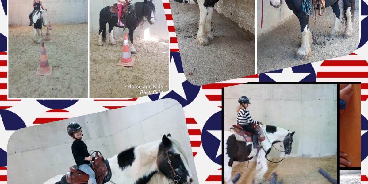 Kinder reiten und interagieren mit Pferden in einer Reithalle, wobei die Bilder von einem rot-weiß-blauen Sternenmuster umrandet sind. Ein Foto zeigt Lehrdiagramme.