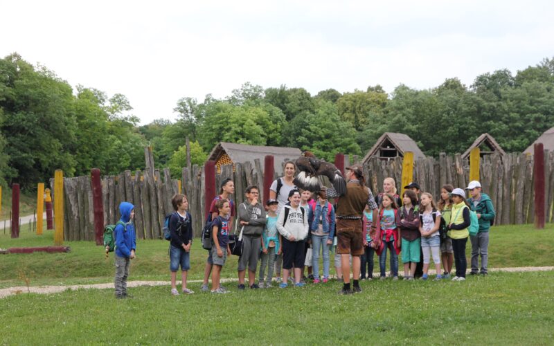 Eine Gruppe von Kindern und Erwachsenen steht draußen in der Nähe von Holzkonstruktionen und Bäumen und hört einer Person zu, die einen Greifvogel hält.