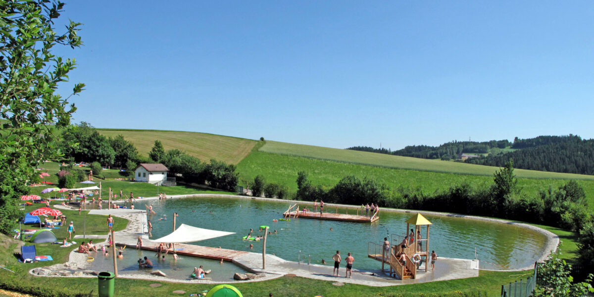Ein Schwimmteich im Freien mit Menschen, die schwimmen, sich sonnen und spielen; umgeben von Wiesen und Bäumen unter einem klaren blauen Himmel.